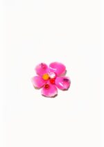 BROCHE PM FLEUR ISCHIA PINK
